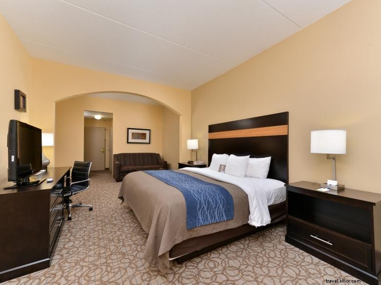 Comfort Inn &Suites en Stone Mountain 