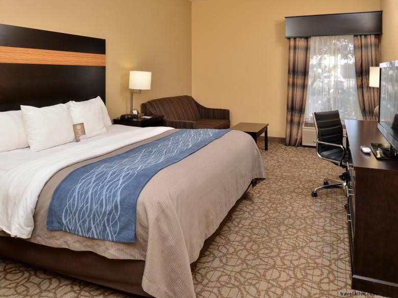 Comfort Inn &Suites en Stone Mountain 