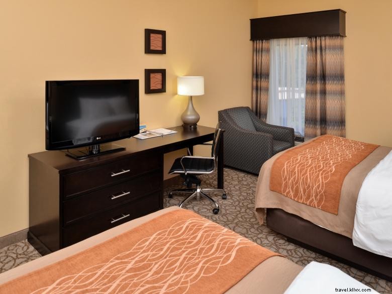 Comfort Inn &Suites en Stone Mountain 