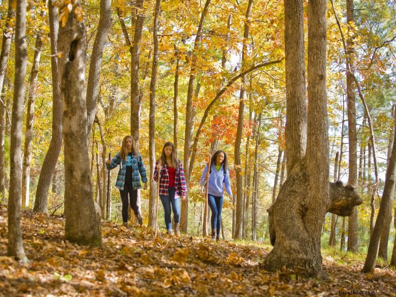 Red Top Mountain State Park 