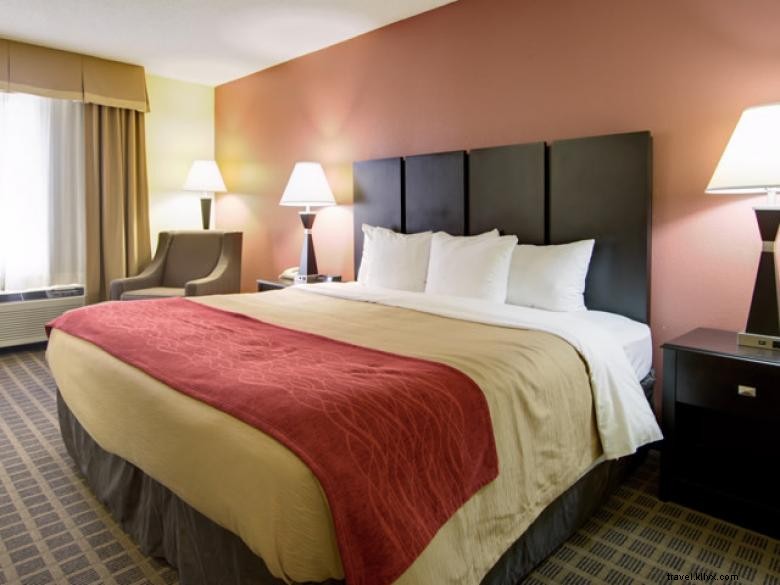 Comfort Inn &Suites North - Macon 
