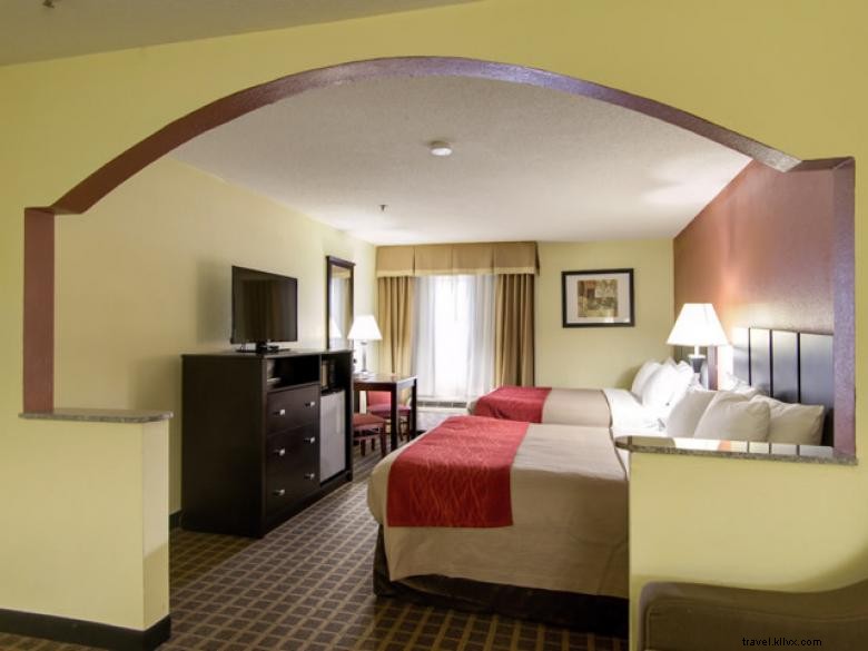 Comfort Inn &Suites North - Macon 