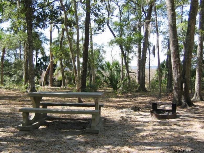 Parque Estadual Fort McAllister 