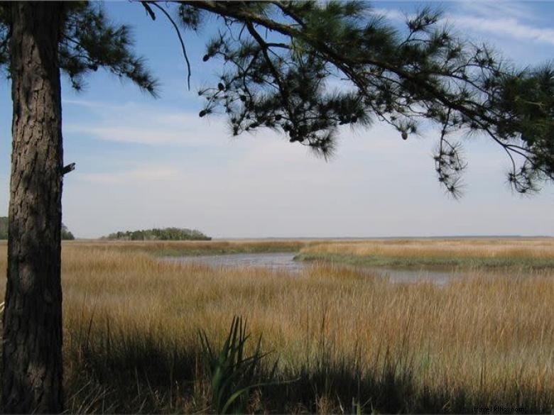 Parque Estadual Fort McAllister 