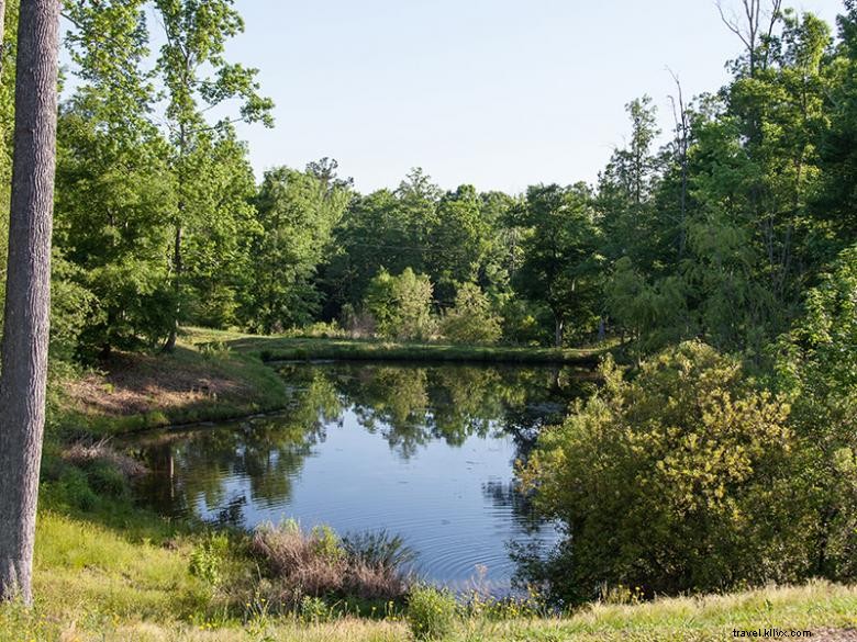 Parc de camping-car et terrain de camping Scenic Mountain 