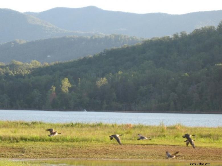 Casa per le vacanze di Dogwood Hill 