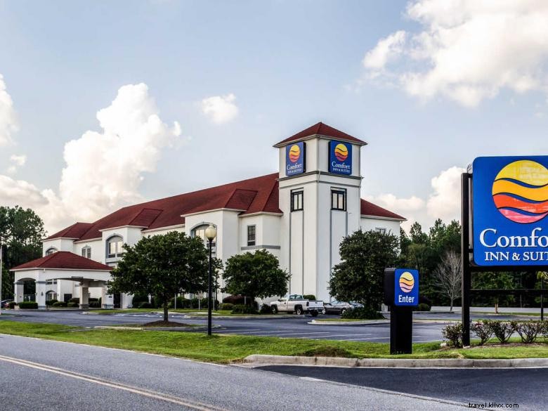 Comfort Inn &Suites Savannah Airport 