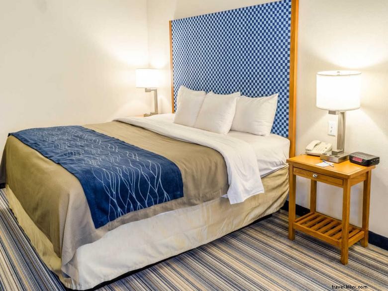 Comfort Inn &Suites Bandara Savannah 