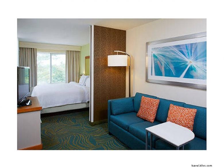 SpringHill Suites Atlanta Six Flags 