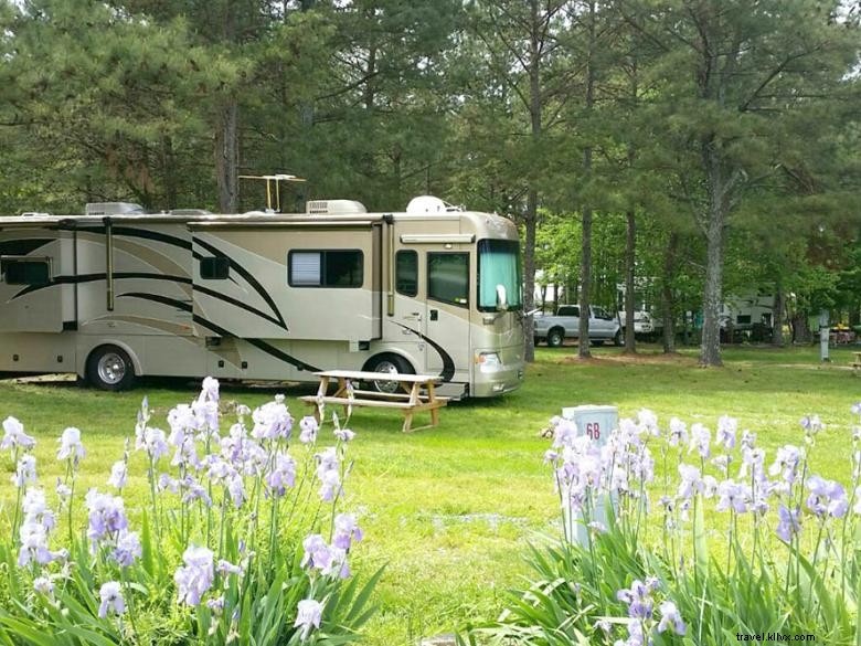 Plum Nelly Campground 