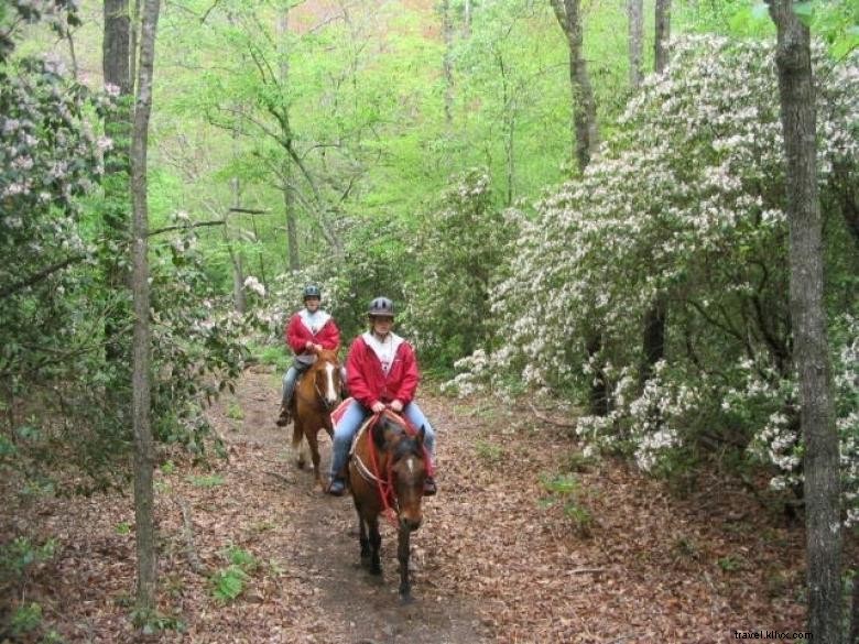 Ranch de la rivière Grove 