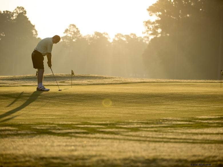 Lake Blackshear Resort e Golf Club 