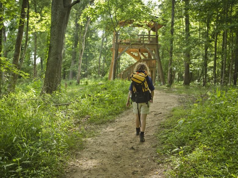 Chattahoochee Bend State Park 