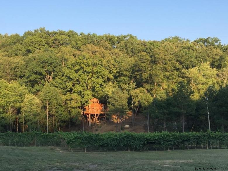 Casa del árbol Blue Ridge en Bear Claw Vineyards 