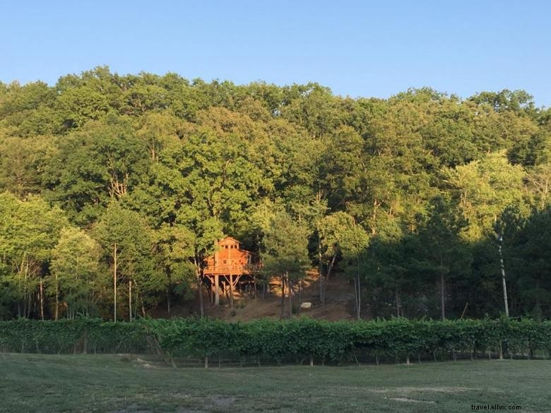 Blue Ridge Treehouse à Bear Claw Vineyards 