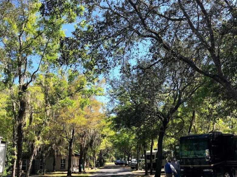 Um parque de RV de roda gigante 