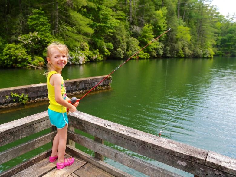 Unicoi State Park &​​Lodge 