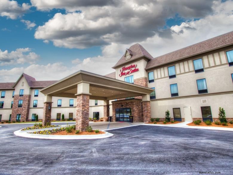 Hampton Inn &Suites Braselton 