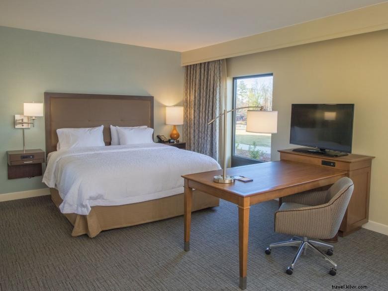 Hampton Inn &Suites Braselton 