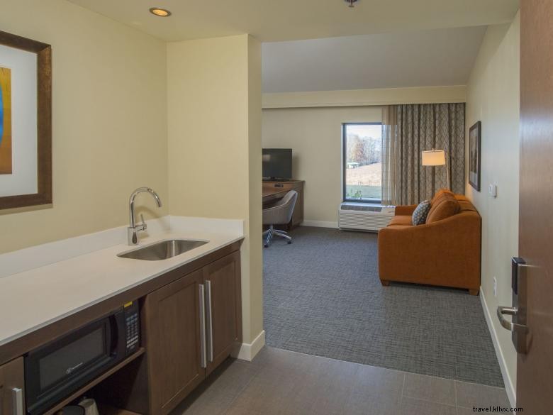 Hampton Inn &Suites Braselton 