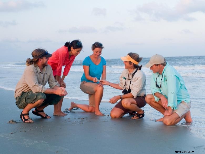 Penginapan di Pulau Little St. Simons 