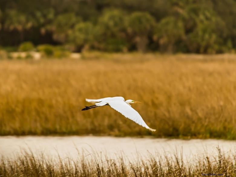 El Lodge en la isla de Little St. Simons 