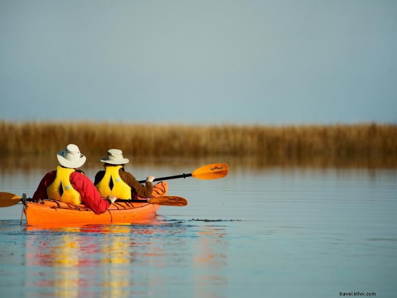 Penginapan di Pulau Little St. Simons 