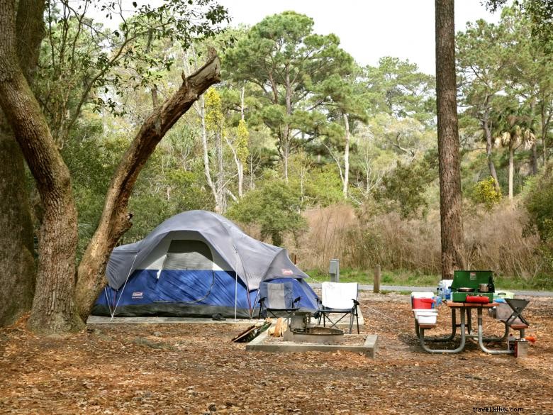 Taman Negara Pulau Skidaway 