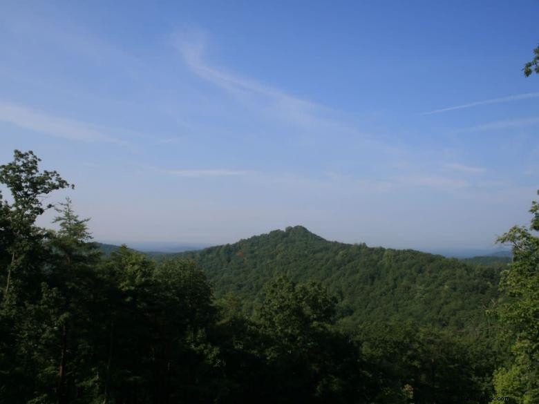 Noleggio di montagna di Carsons Run 