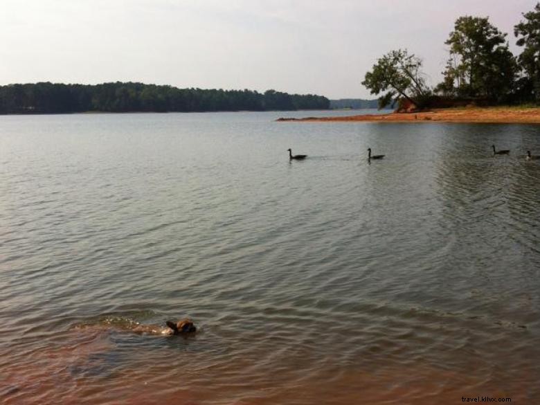 Perkemahan Whitetail Ridge di West Point Lake 