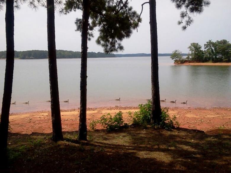 Campamento Whitetail Ridge en West Point Lake 