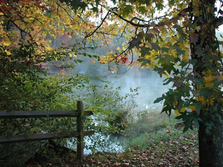 Jennys Creek Campground 