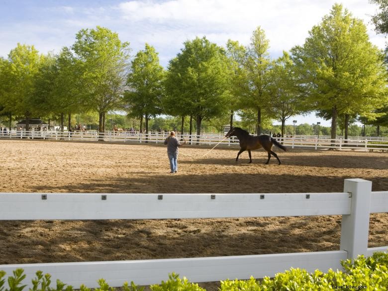 Georgia International Horse Park 