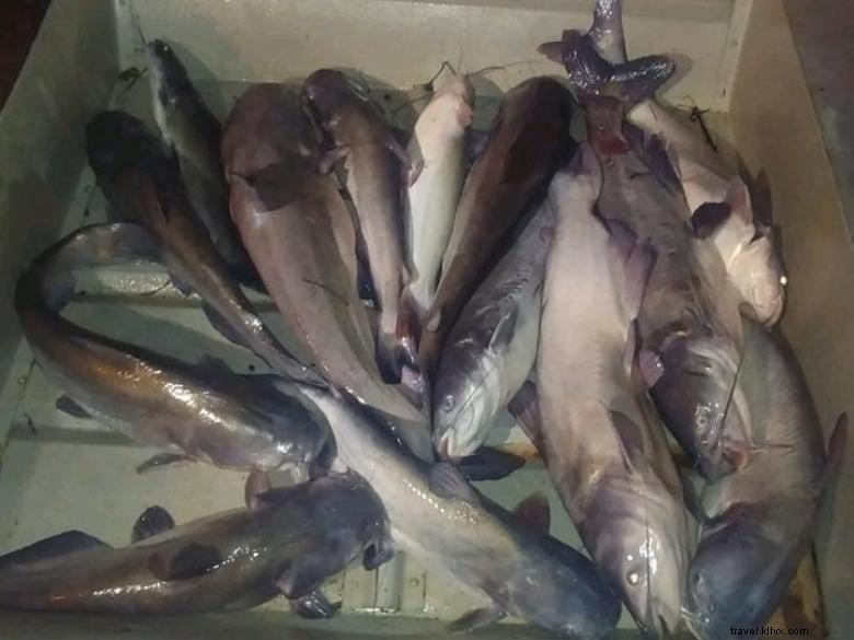 A incubadora de pesca e alojamento 