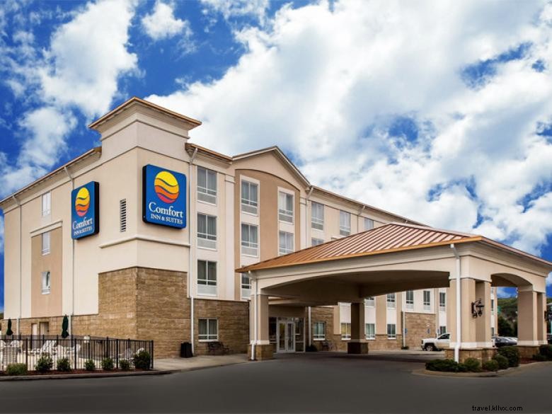 Comfort Inn &Suites Tifton 