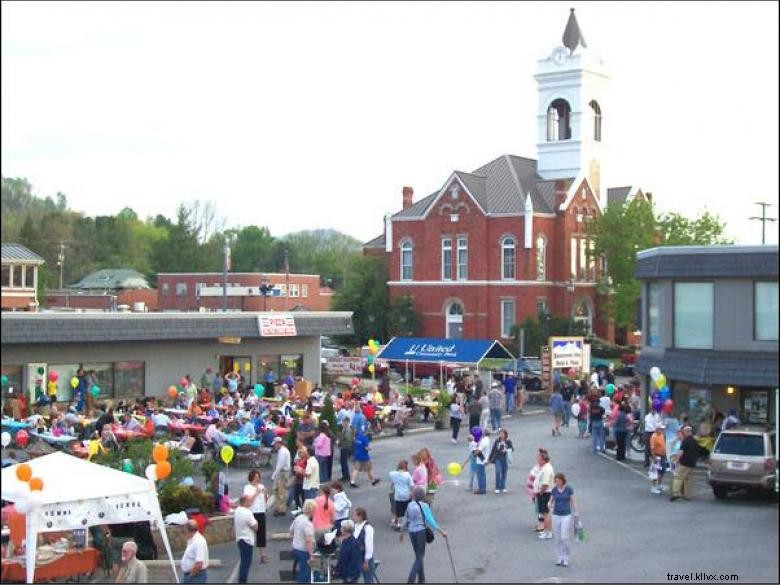 Seasons Inn &Plaza - Blairsville 