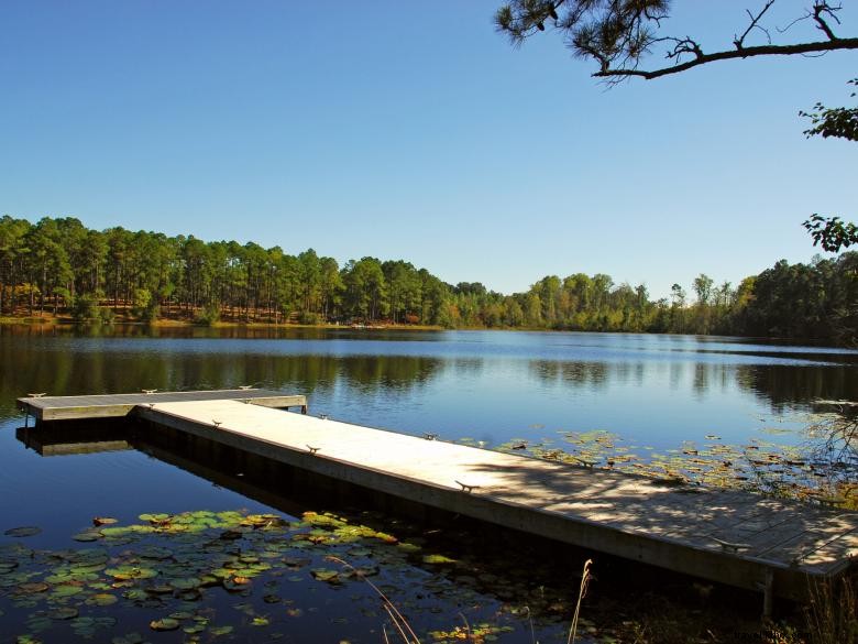 Parc d État de Jack Hill 