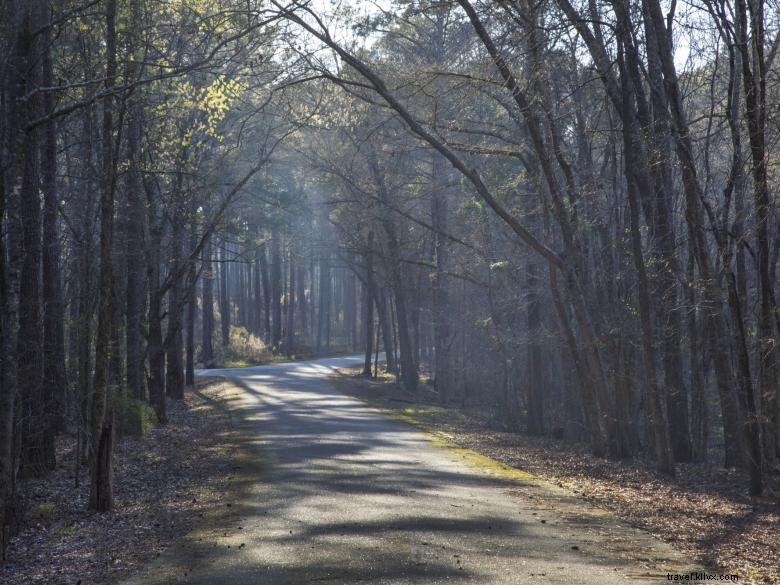 Broad River Campground 