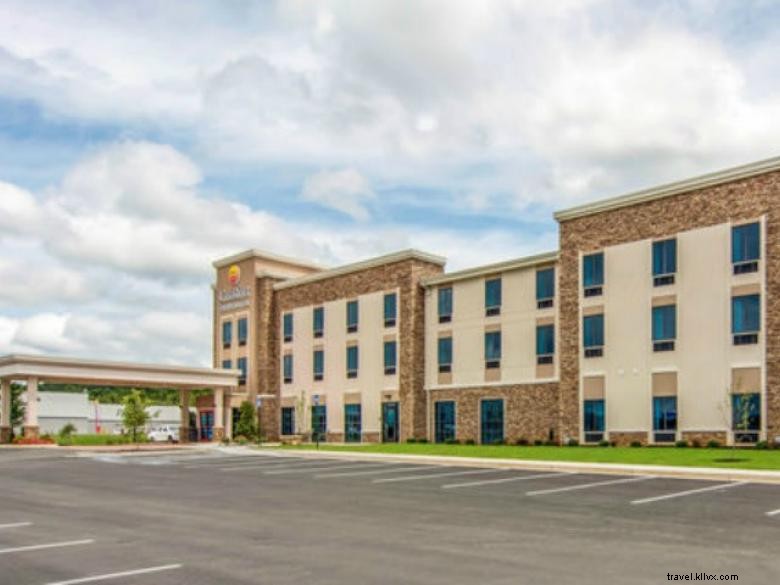 Comfort Inn &Suites East Ellijay 