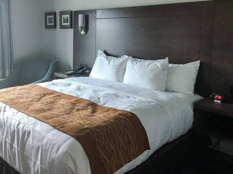 Comfort Inn &Suites East Ellijay 