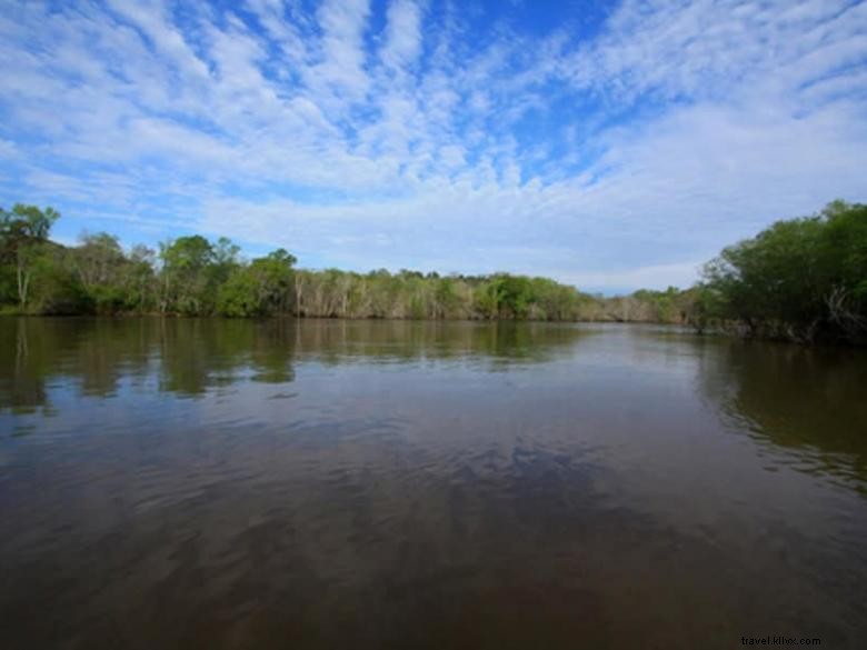 Taman Altamaha di Kabupaten Glynn 