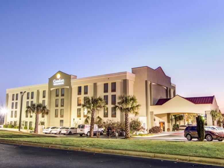 Comfort Inn &Suites - Athena 