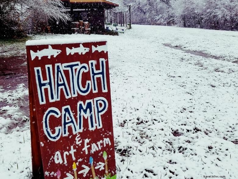 Hatch Camp e Art Farm 