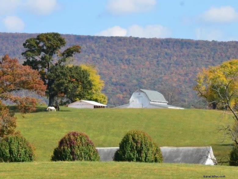 Complejo turístico de Mountain Cove Farms 