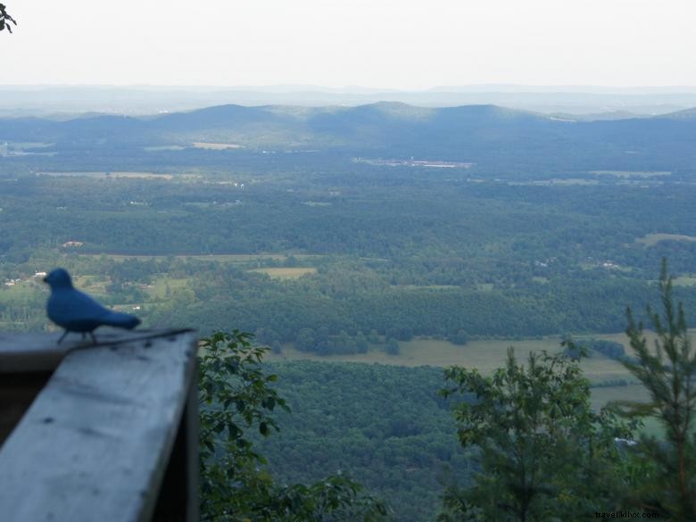 Chalé Roost dos urubus 