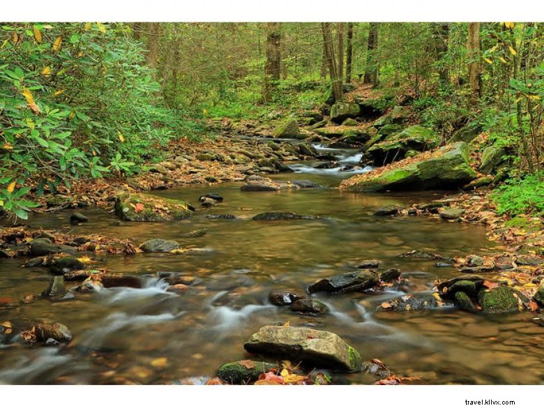 Area Rekreasi Air Terjun DeSoto 