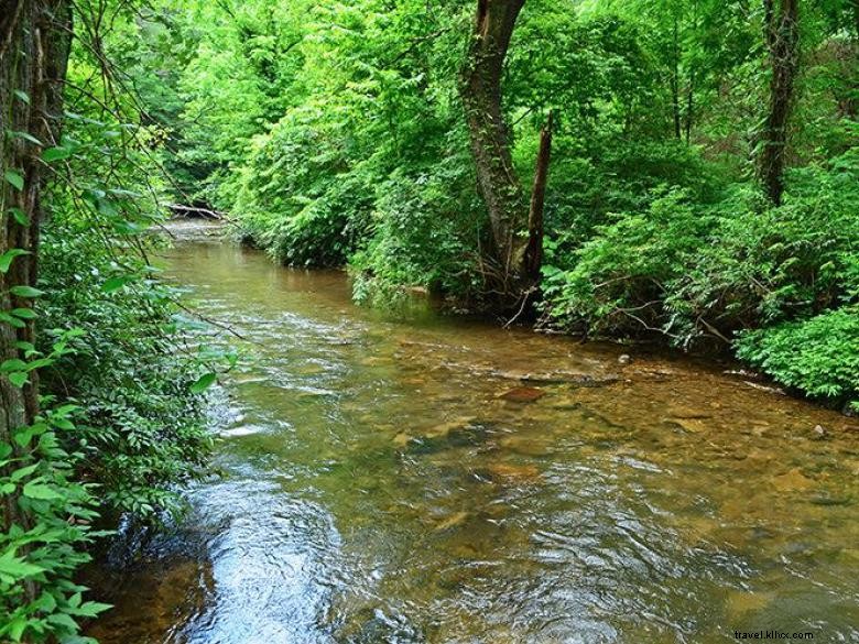 Taman Negara Bagian Smithgall Woods 