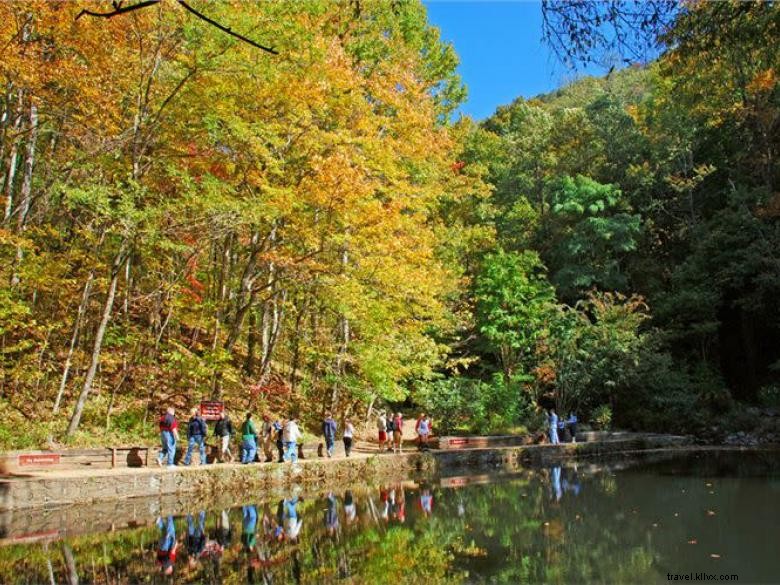 Parc d État et lodge d Amicalola Falls 