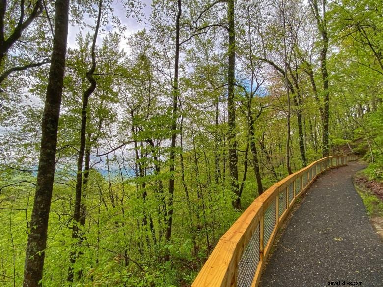 Amicalola Falls State Park &​​Lodge 