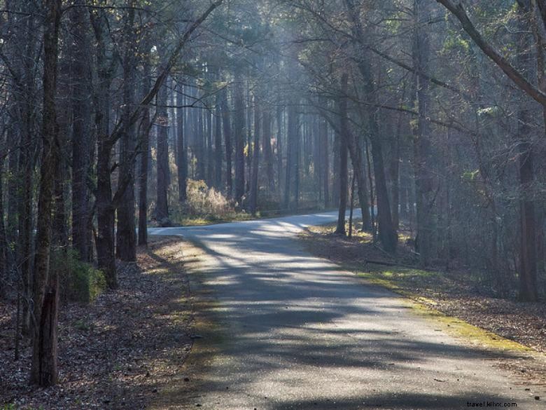 Hesters Ferry Campground 